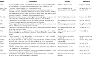 Functional Micropeptides Encoded by Long Non-Coding RNAs: A Comprehensive Review